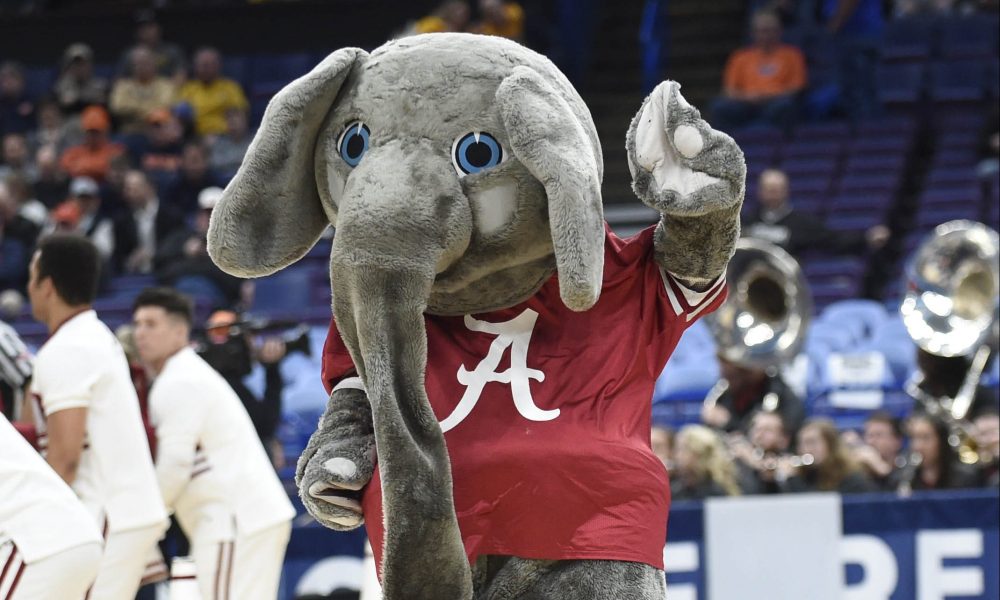 The ultimate guide to picking your March Madness mascot bracket